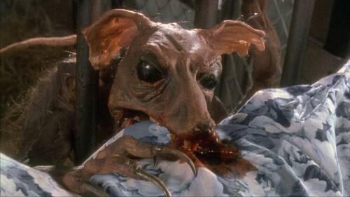 群尸玩过界在线观看,惊悚狂欢,生死边缘的极限挑战 第3张 群尸玩过界在线观看,惊悚狂欢,生死边缘的极限挑战 第3张